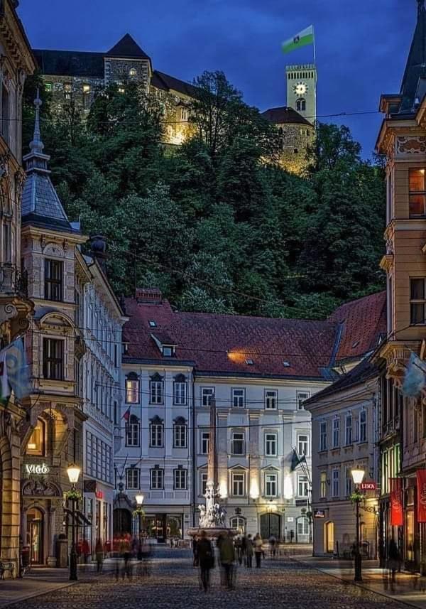 Apartment In The Heart Of Ljubljana Dış mekan fotoğraf